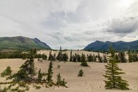 Carcross Desert